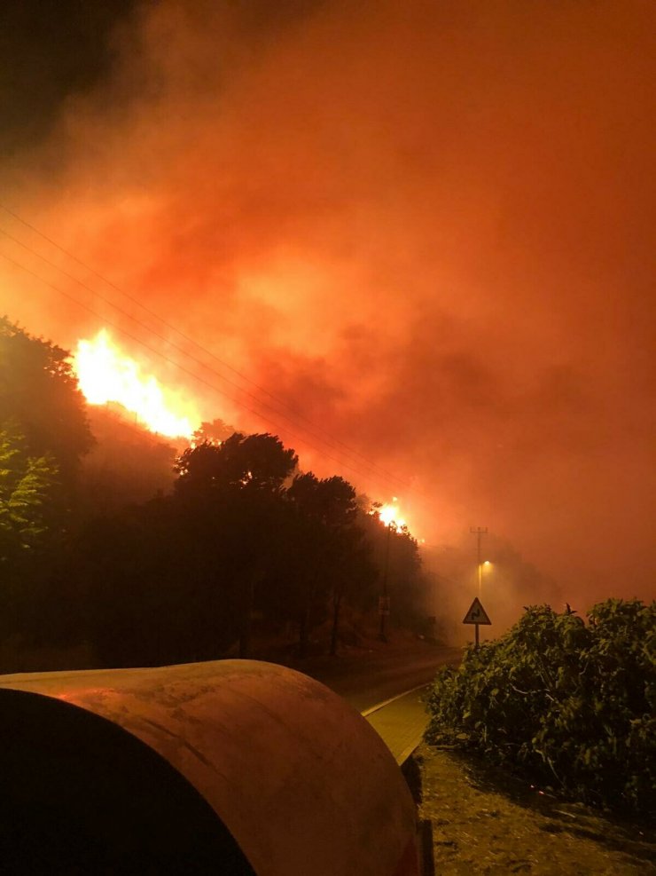 Çeşme'de yanan alan dronla görüntülendi