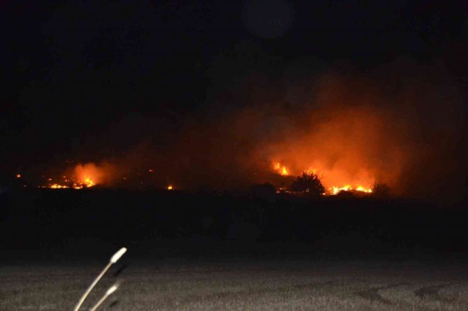 Didim’de makilik yangını korkuttu