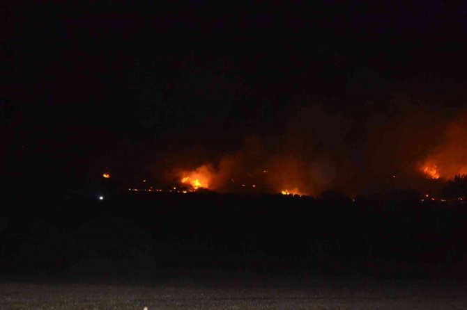 Didim’de makilik yangını korkuttu