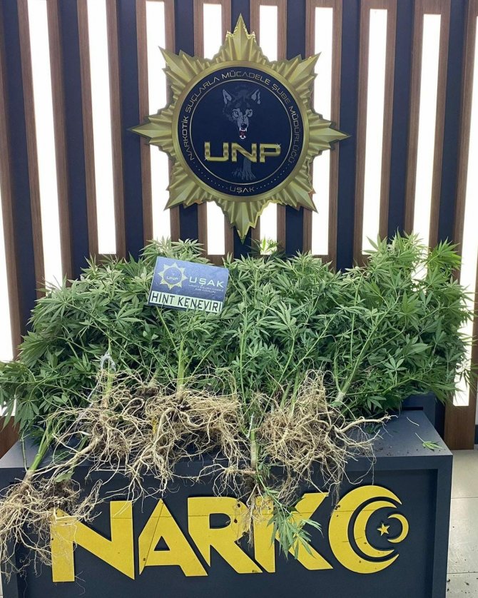 Evinde yüklü miktar uyuşturucu çıkan şüpheli serbest kaldı