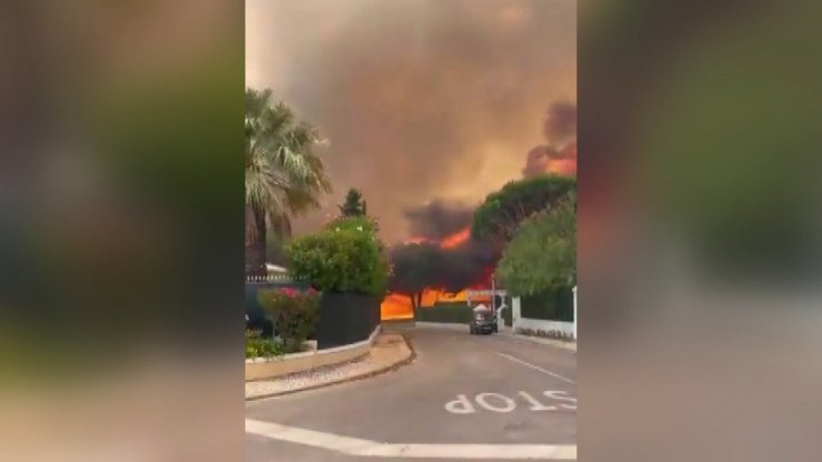 İspanya ve Fransa’daki orman yangınları