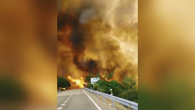 İspanya ve Fransa’daki orman yangınları