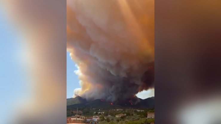 İspanya ve Fransa’daki orman yangınları