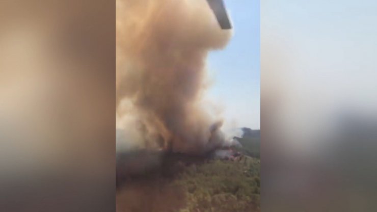 İspanya ve Fransa’daki orman yangınları