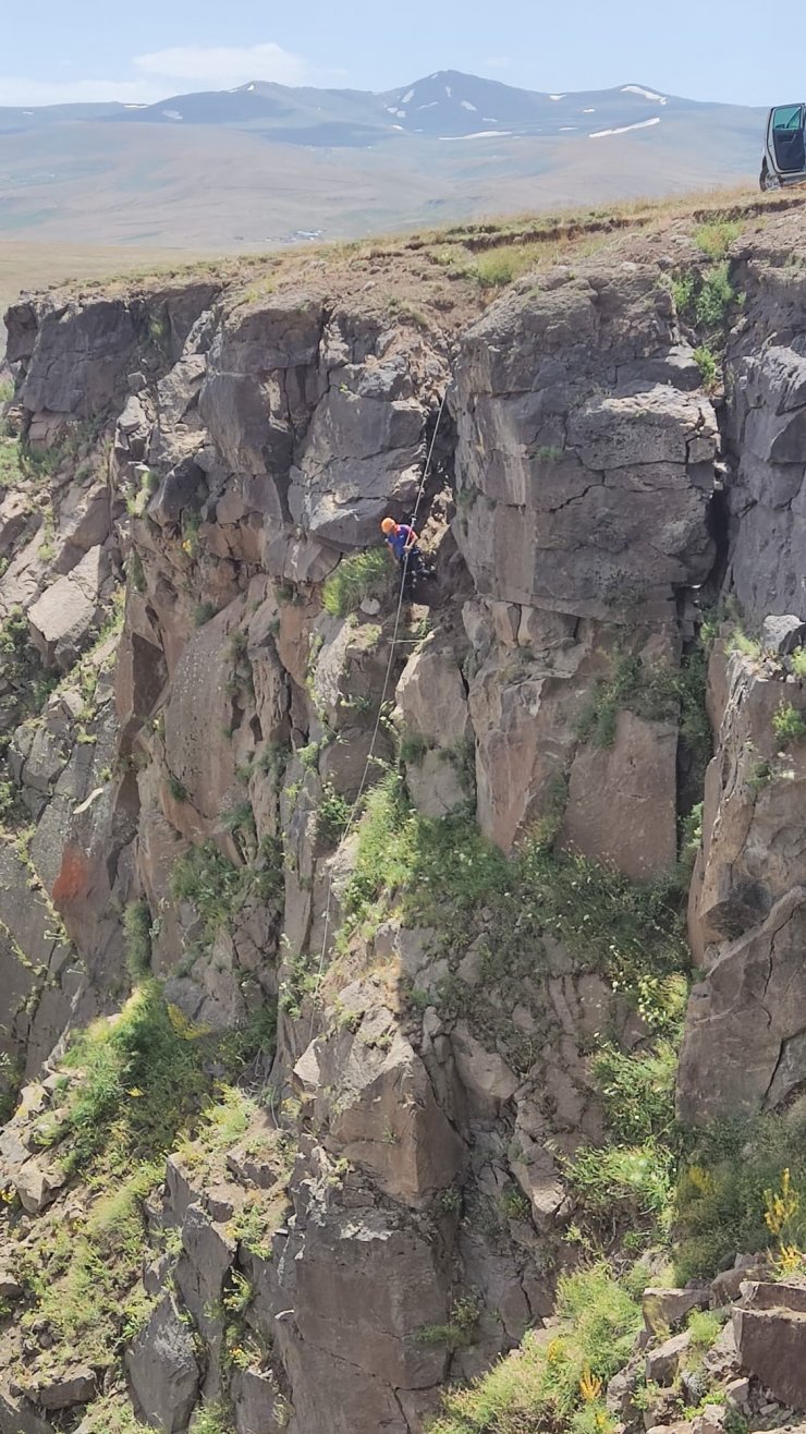 Kayalıklarda mahsur kalan keçileri AFAD kurtardı 