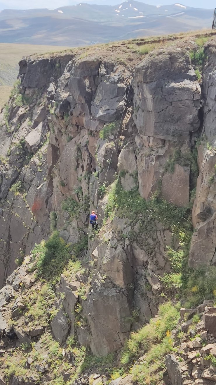 Kayalıklarda mahsur kalan keçileri AFAD kurtardı 