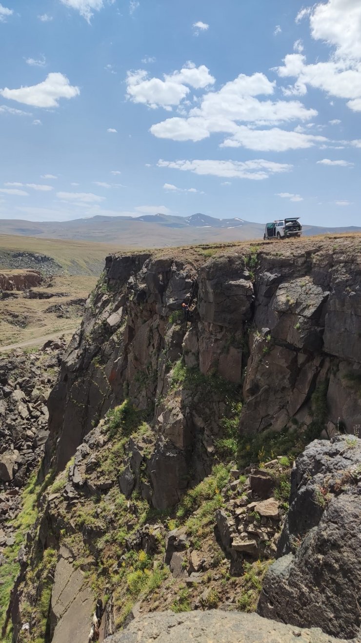 Kayalıklarda mahsur kalan keçileri AFAD kurtardı 