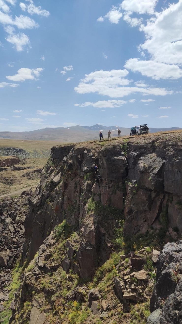 Kayalıklarda mahsur kalan keçileri AFAD kurtardı 