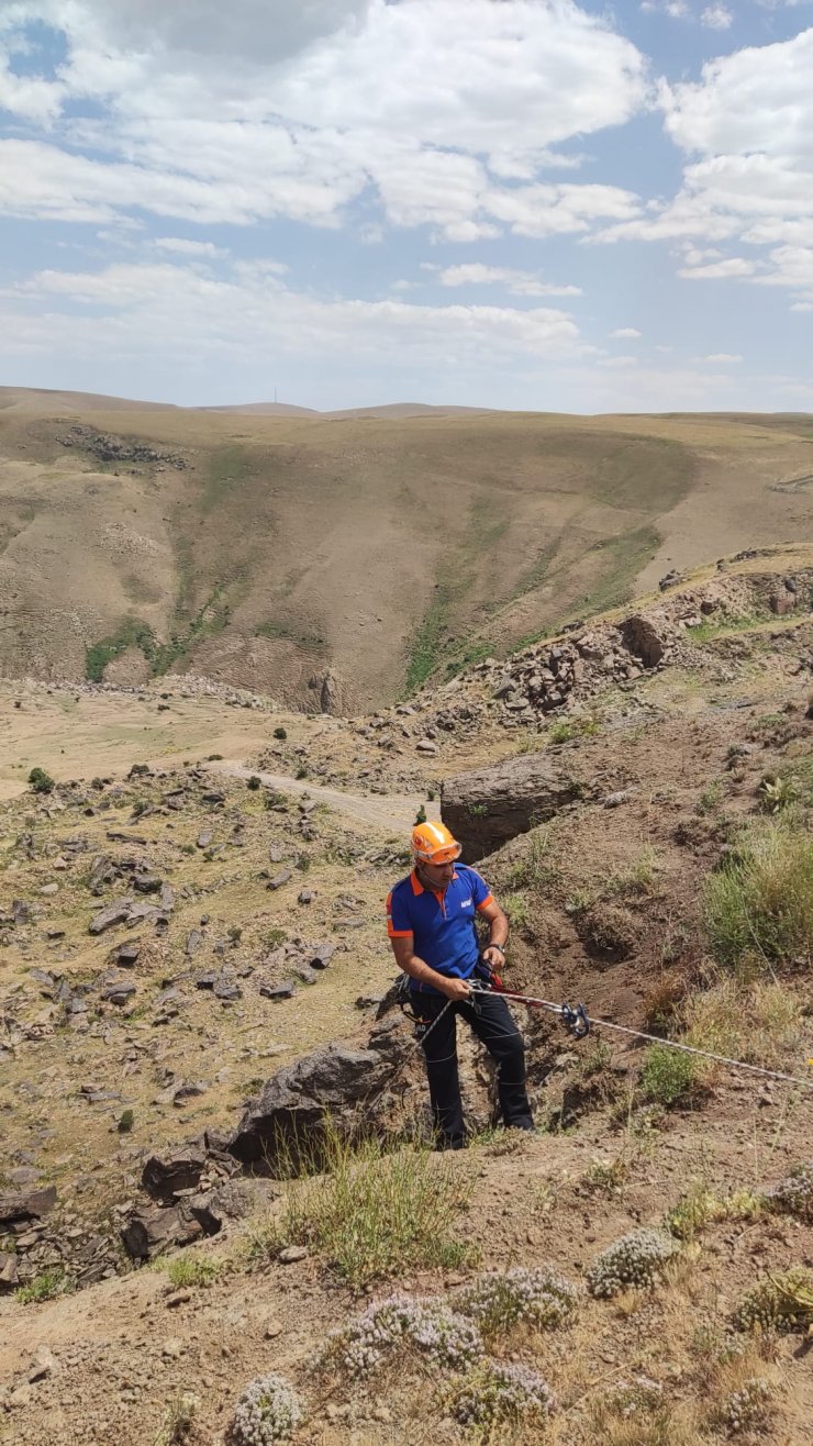 Kayalıklarda mahsur kalan keçileri AFAD kurtardı 