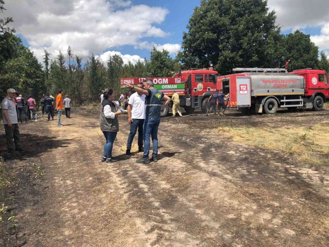 Kırklareli’nde başlayan orman yangınına müdahale ediliyor