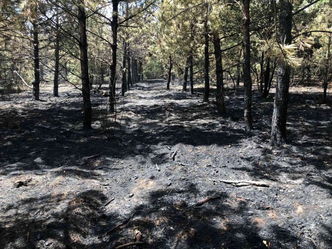 Kırklareli’nde başlayan orman yangınına müdahale ediliyor