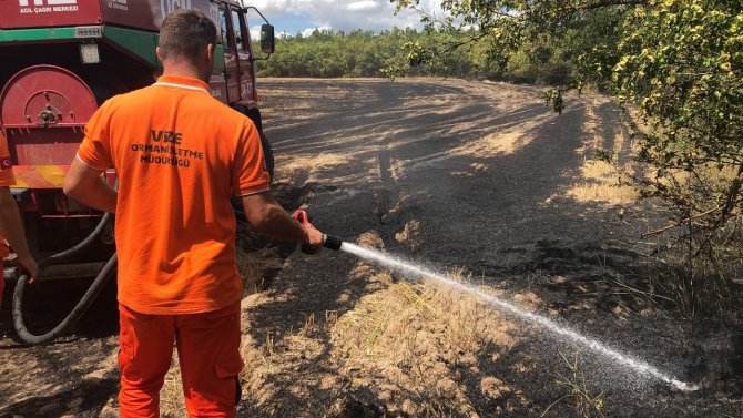 Kırklareli’nde başlayan orman yangınına müdahale ediliyor