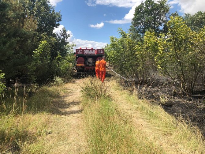 Kırklareli’nde başlayan orman yangınına müdahale ediliyor