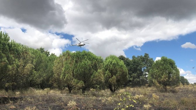 Kırklareli’nde başlayan orman yangınına müdahale ediliyor
