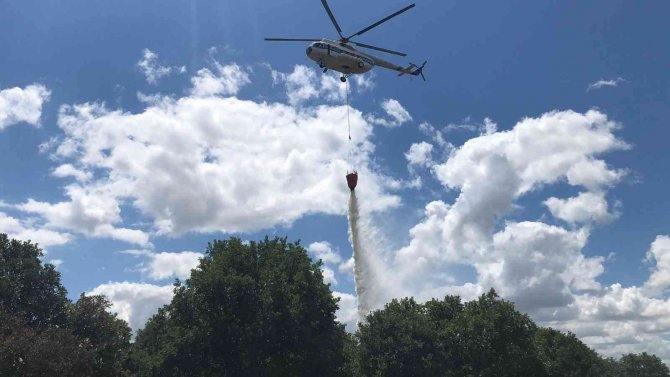 Kırklareli’nde başlayan orman yangınına müdahale ediliyor