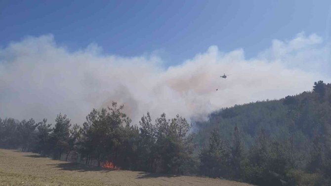 Manisa Büyükşehir İtfaiyesi Gördes yangını için seferber oldu