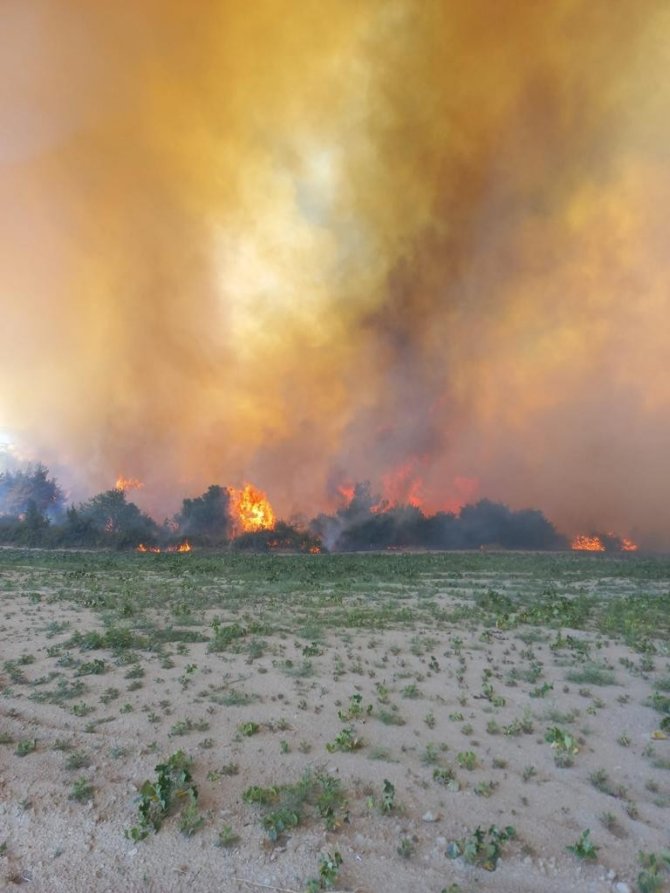 Manisa Büyükşehir İtfaiyesi Gördes yangını için seferber oldu