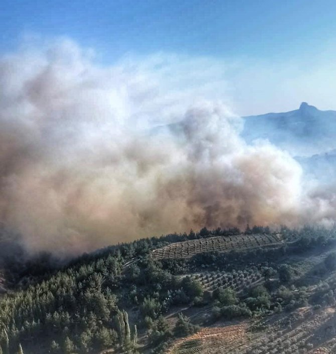 Manisa Büyükşehir İtfaiyesi Gördes yangını için seferber oldu