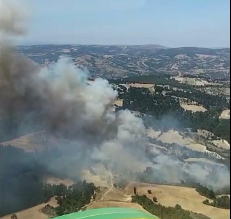 Manisa'da orman yangını çıktı