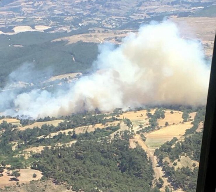 Manisa'da orman yangını çıktı