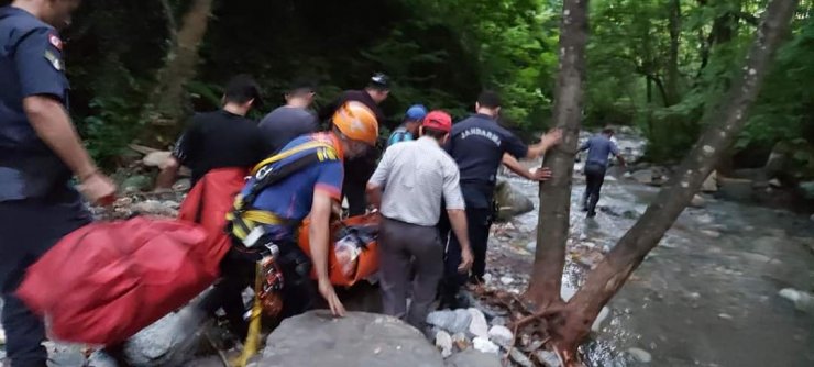 Mantar toplarken dere yatağına düşüp, yaralandı