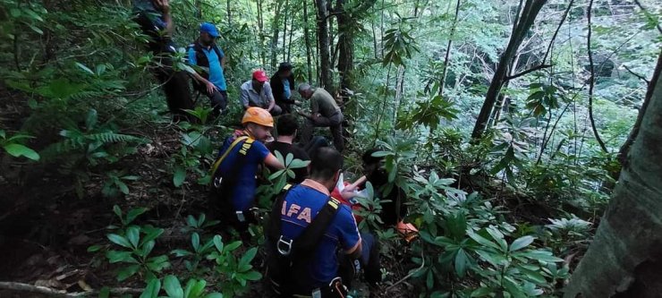 Mantar toplarken dere yatağına düşüp, yaralandı 