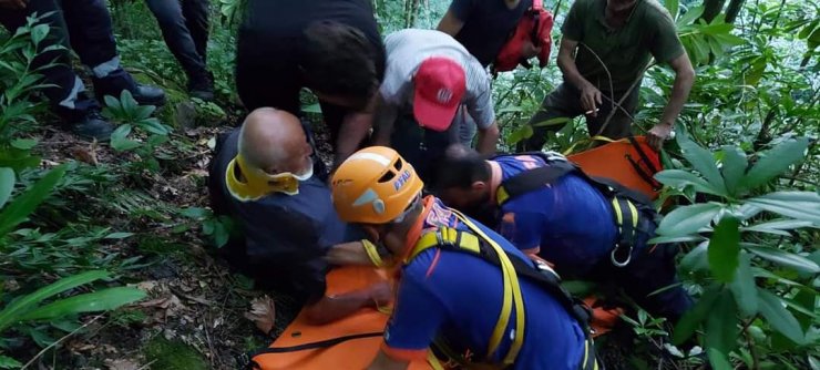 Mantar toplarken dere yatağına düşüp, yaralandı 