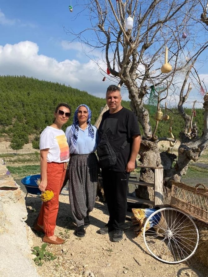 Mor tarlalarda hasat başladı