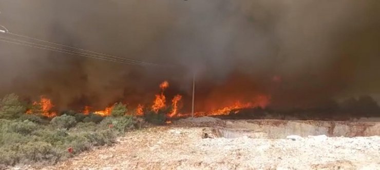 Muğla'da orman yangını