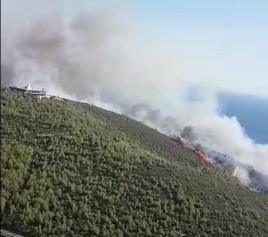 Muğla'da orman yangını