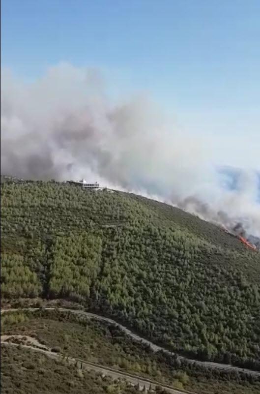 Muğla'da orman yangını