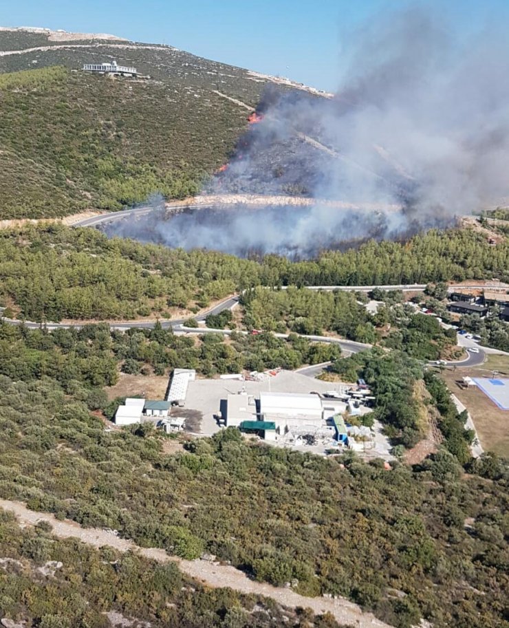 Muğla'da orman yangını