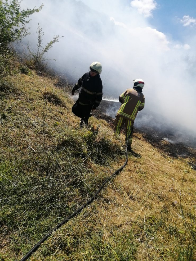 Orman yangını, 1,5 saatte kontrol altına alındı