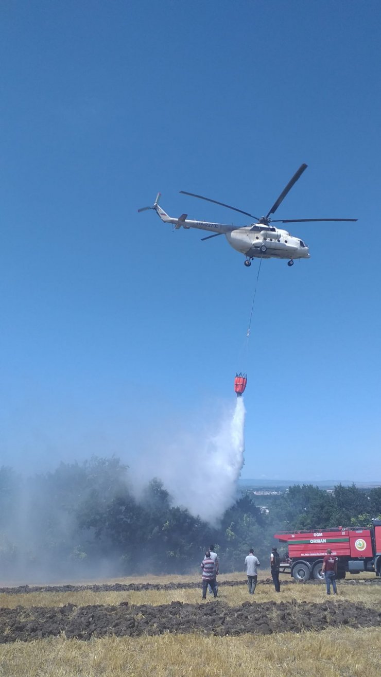 Orman yangını, 1,5 saatte kontrol altına alındı