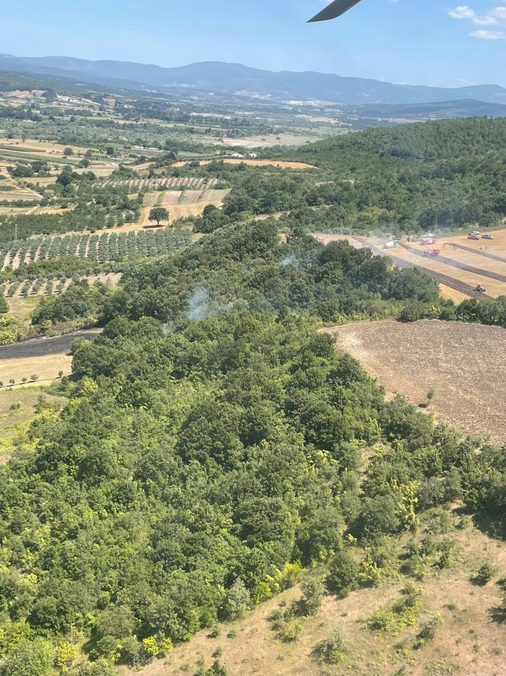 Orman yangını, 1,5 saatte kontrol altına alındı