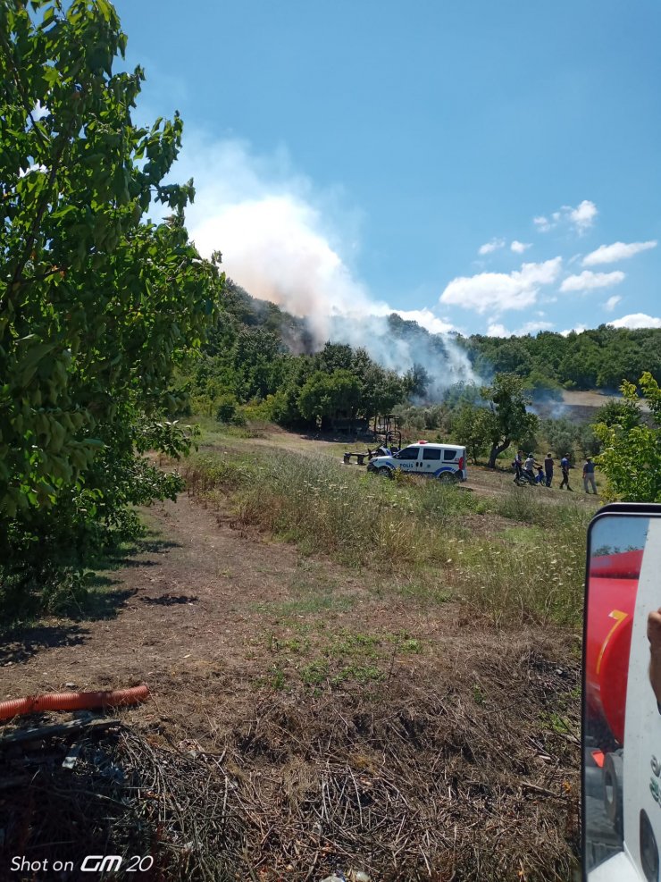 Orman yangını, 1,5 saatte kontrol altına alındı