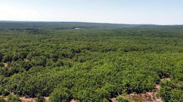 Ormanda kaybolan Şehmus, 8’inci günde bulundu
