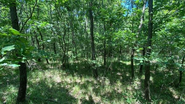 Ormanda kaybolan Şehmus, 8’inci günde bulundu