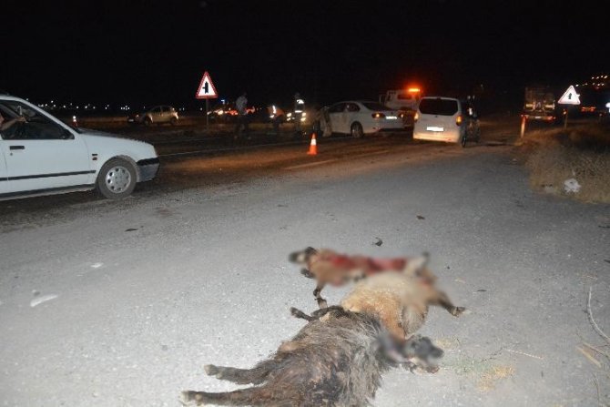 Otomobilin koyun sürüsüne dalma anı kamerada