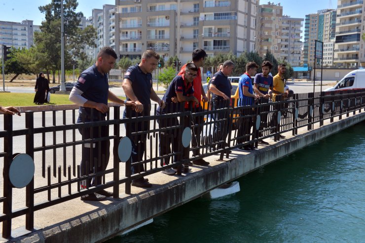 Sulama kanalında çırpınırken görüldü, aranıyor