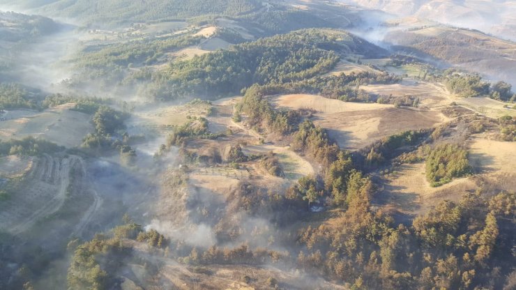 85 hektar orman, 100 hektar tarım arazisinin zarar gördüğü yangına 2 gözaltı