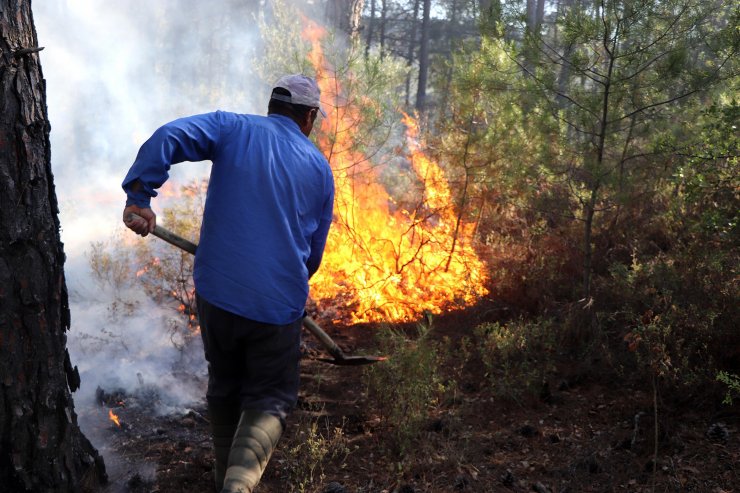 85 hektar orman, 100 hektar tarım arazisinin zarar gördüğü yangına 2 gözaltı