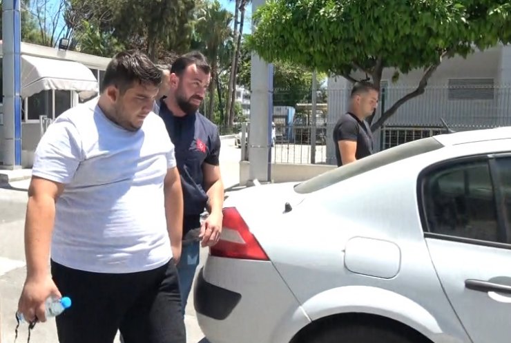 Ağacın kurutulmasında 3 şüpheli serbest, sebep 'sır'