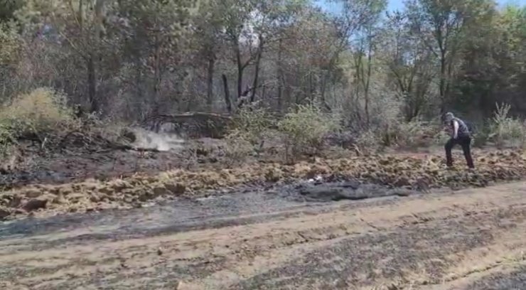 Anız yangını ormana sıçradı