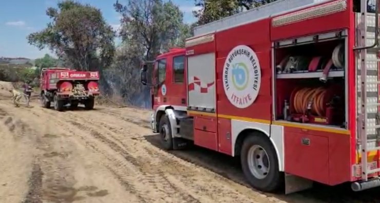 Anız yangını ormana sıçradı