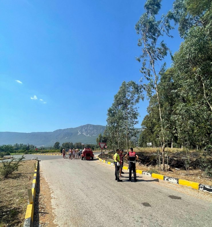 Aşıklar Yolu'ndaki okaliptüs ağaçları yanmaktan kurtarıldı