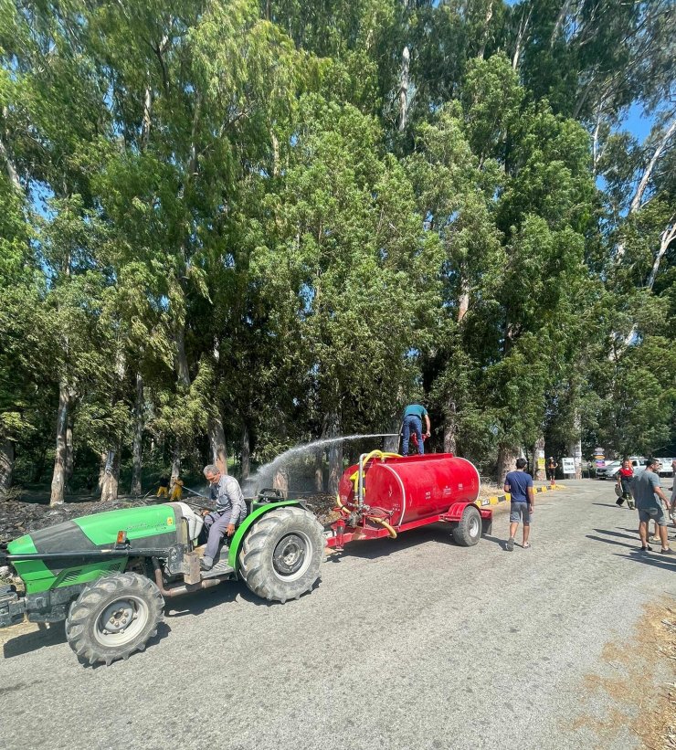 Aşıklar Yolu'ndaki okaliptüs ağaçları yanmaktan kurtarıldı