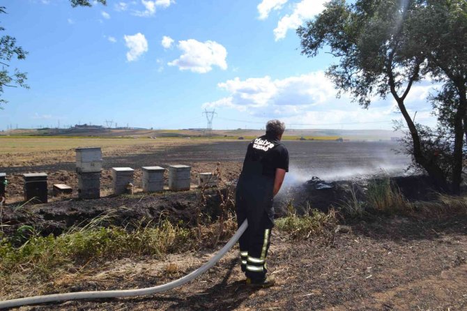 Balya makinesinden sıçrayan kıvılcım 100 dönüm anız ile saman balyalarını küle çevirdi, arılar da zarar gördü
