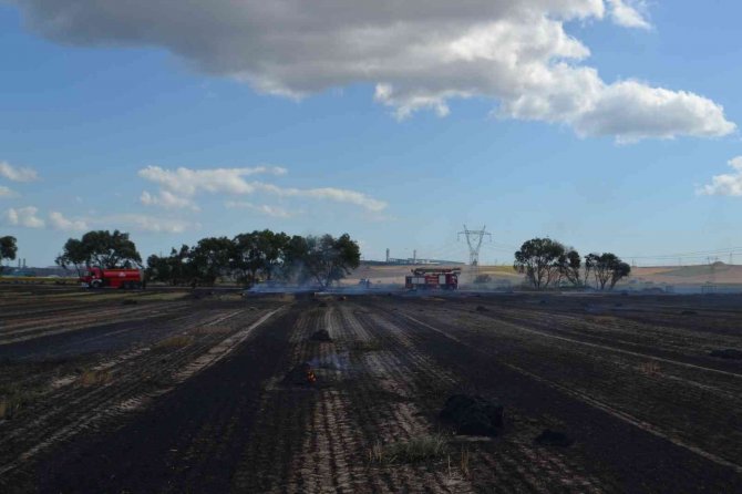 Balya makinesinden sıçrayan kıvılcım 100 dönüm anız ile saman balyalarını küle çevirdi, arılar da zarar gördü