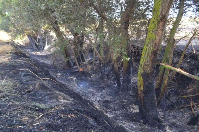 Balya makinesinden sıçrayan kıvılcım 100 dönüm anız ile saman balyalarını küle çevirdi, arılar da zarar gördü